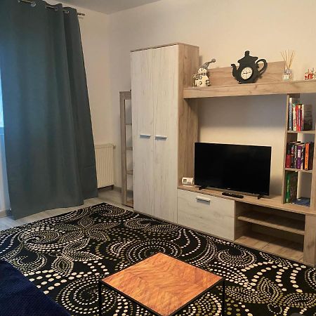 Apartment Dabic Remote And Fun Braşov Eksteriør billede
