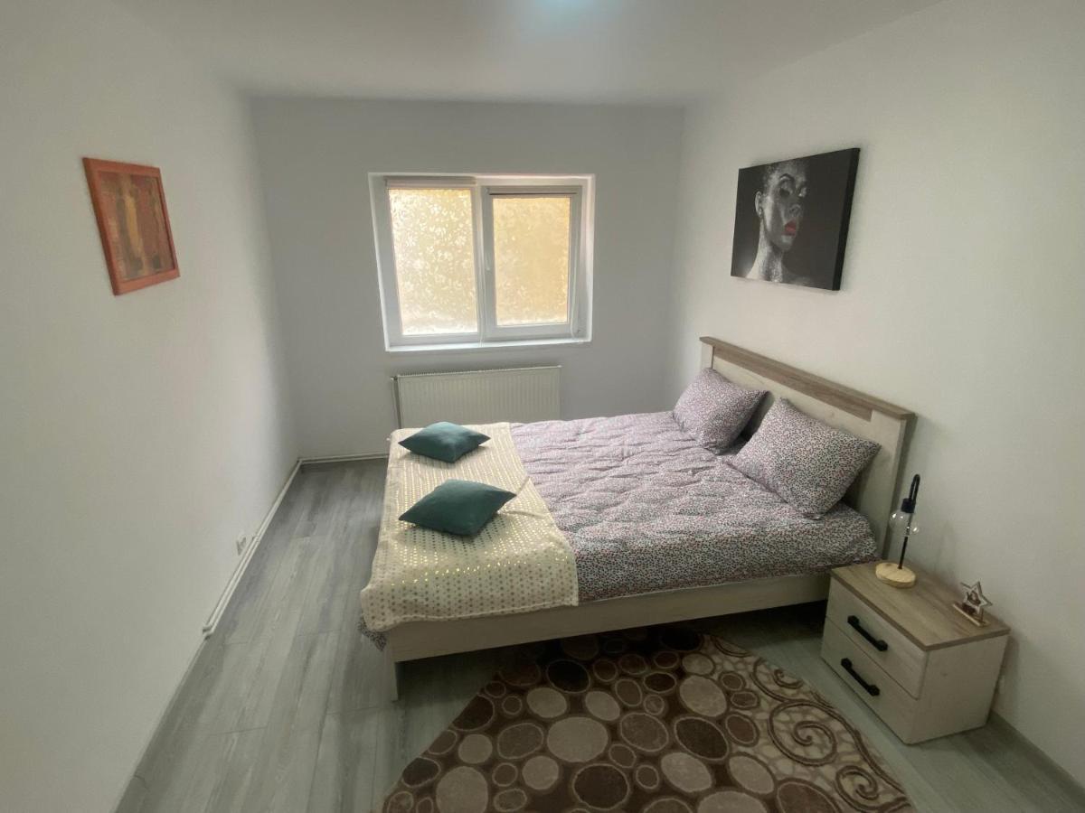 Apartment Dabic Remote And Fun Braşov Eksteriør billede